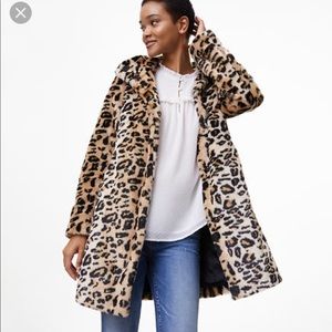 ann taylor leopard jacket